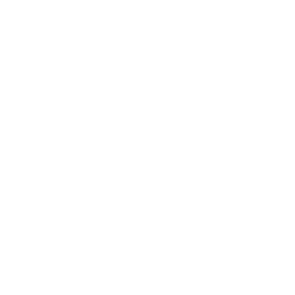 ai.nl